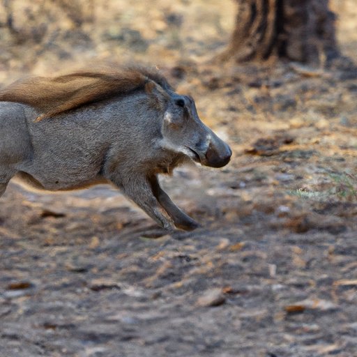 The Science Behind the Top Speed of a 10 Warthog