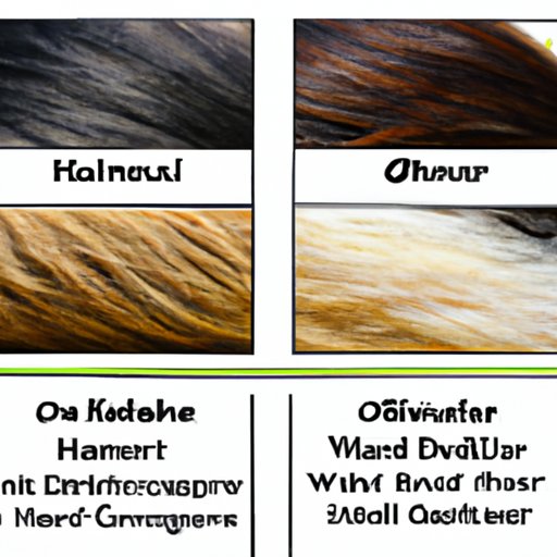 Do All Mammals Have Hair? Exploring the Diversity of Mammalian Hair