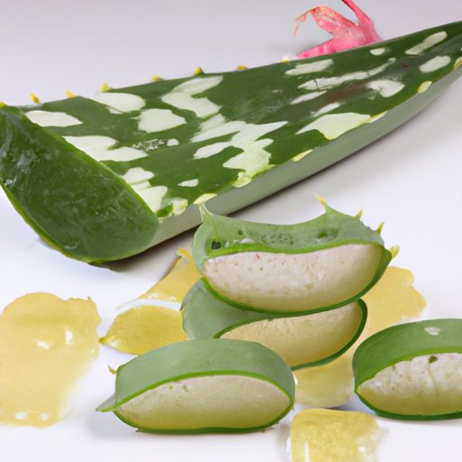 Potential of Aloe Vera as an Acne Treatment