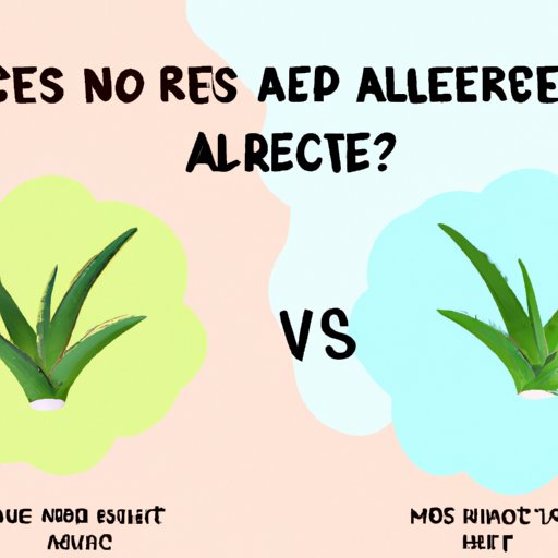 Pros and Cons of Using Aloe Vera for Acne Treatment