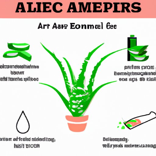 How Aloe Vera Can Improve Acne Symptoms