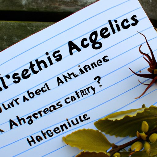 What You Need to Know About Witch Hazel and Acne