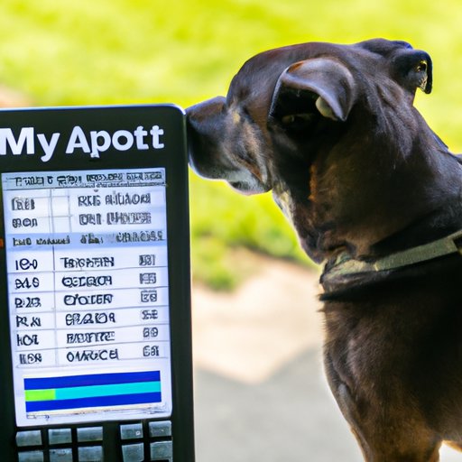 Using a Dog Exercise Calculator to Determine How Much Exercise Your Dog Needs