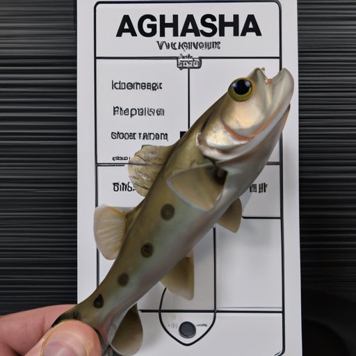 What You Need to Know About Fishing Licenses in Georgia