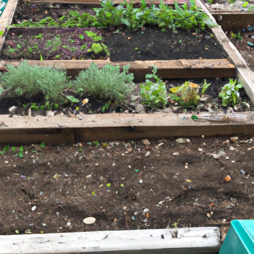 Tips for Optimizing Soil Volume for Raised Beds