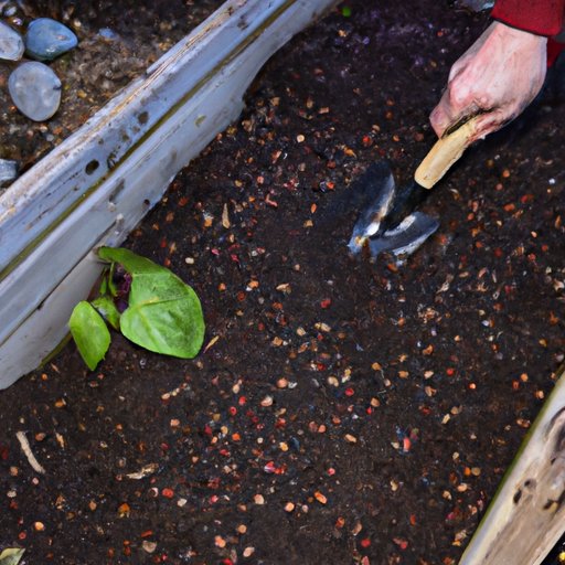 The Benefits of Using Quality Soil in Raised Beds