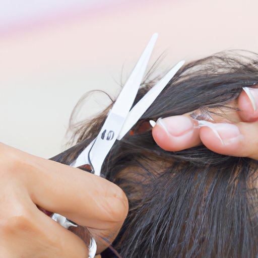 Trim and Layer Dry Hair