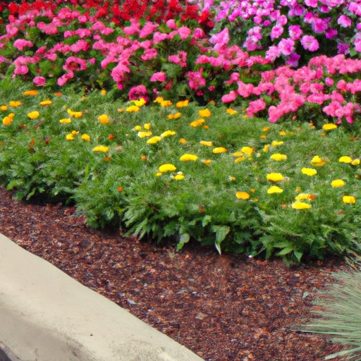 Maximizing Space and Color in Your Flower Bed Design