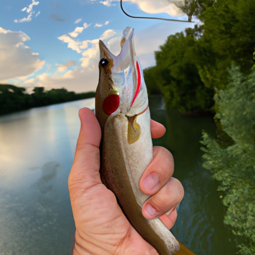 Benefits of Having a Fishing License in Texas