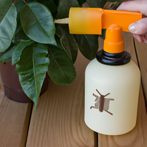 Create a Homemade Insecticidal Spray