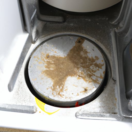 Reasons for Mildew Smell in Washer