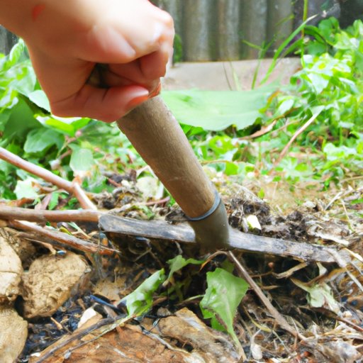 Remove Weeds by Hand or Hoe