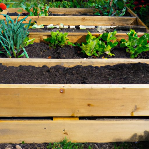 Benefits of Raised Bed Gardening and How to Build One
