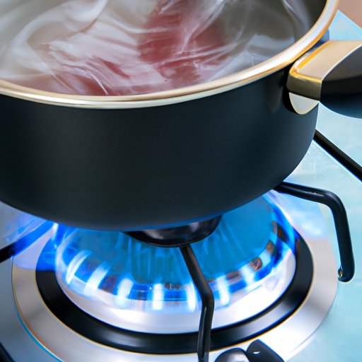 Investigating Recent Studies on the Safety of Induction Cooking