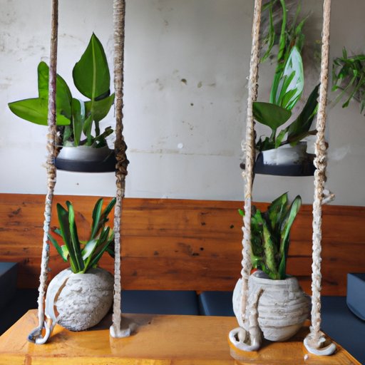 Creative Ways to Decorate with Houseplants