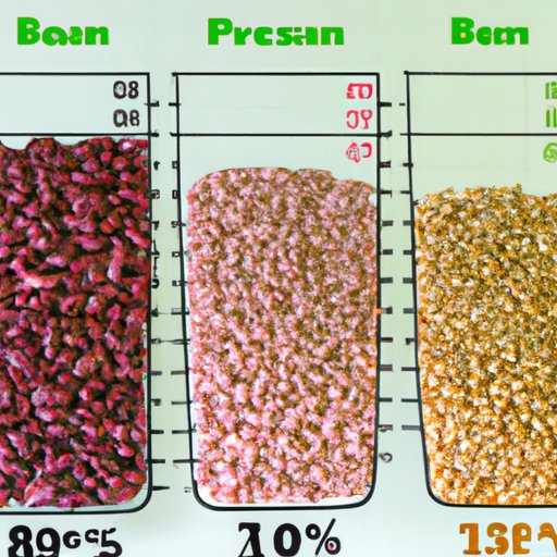 A Comparison of the Protein Content of Different Types of Beans