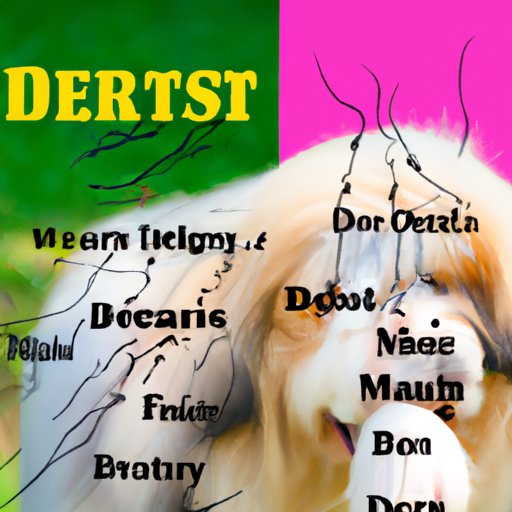 Diet and Stress as Factors in Dog Hair Loss