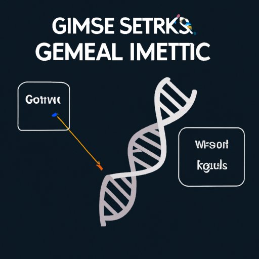 Understanding How Genetics Affects Fitness Levels