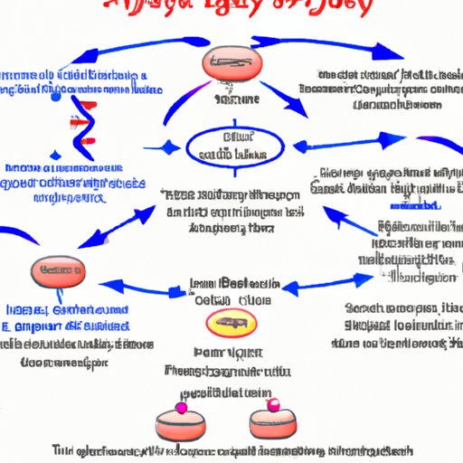 From Glucose to Pyruvate: How Glycolysis Works