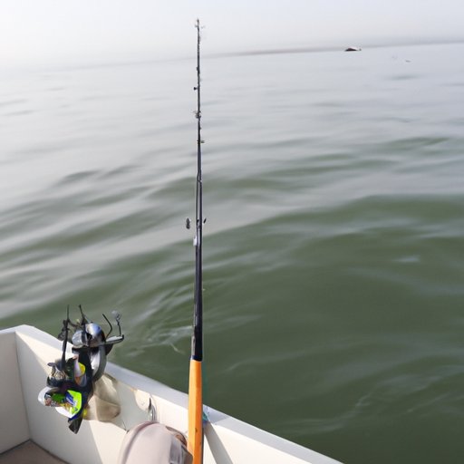 An Overview of Recreational Fishing