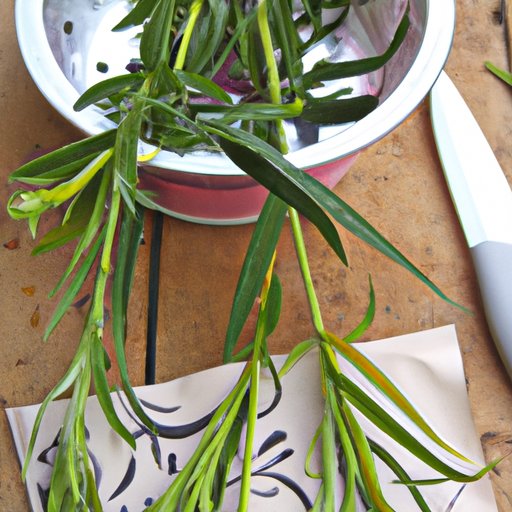 How to Use Tarragon to Enhance Your Recipes