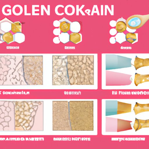 Comparison of Different Types of Collagen