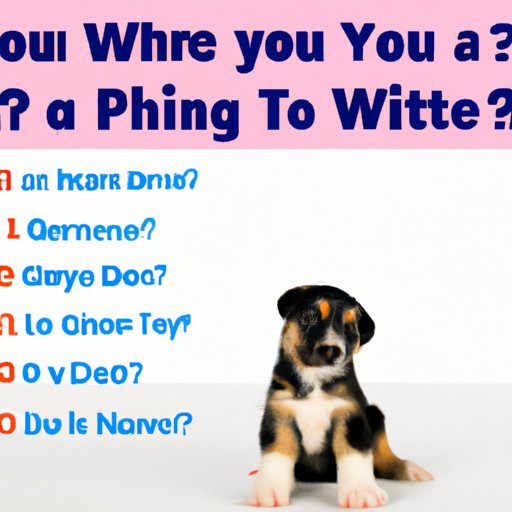 Common Questions and Answers About Getting a Puppy Online