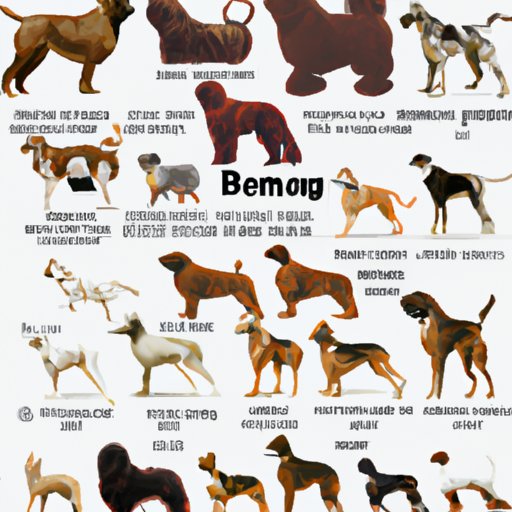 Summary of the Largest Dog Breeds