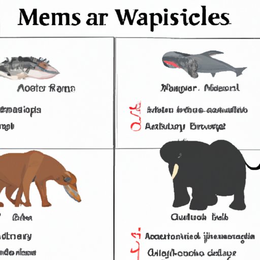 A Comparison of the Meanest Animals Across Different Species