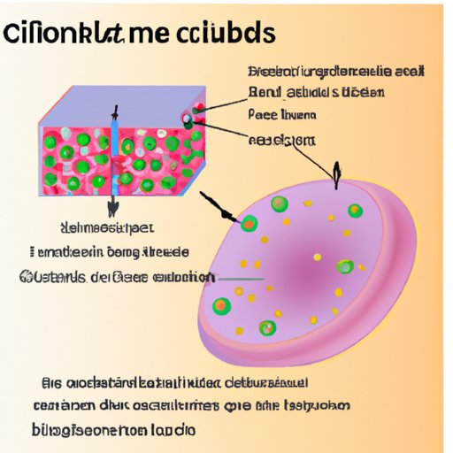 Breaking Down the Basics of the Most Abundant Substance in Living Cells