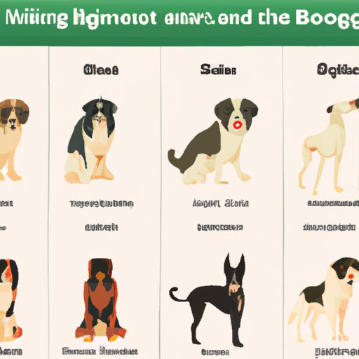 A Comparison of the Most Intelligent Dog Breeds