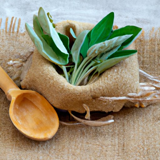 Overview of the Benefits of Using Sage in Cooking