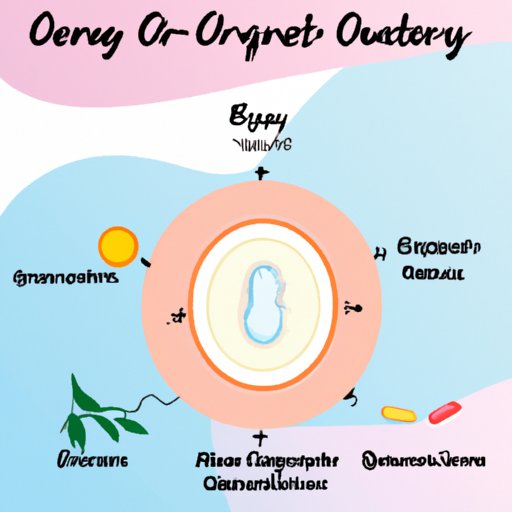 Understanding Ovulation and Fertility After Your Period