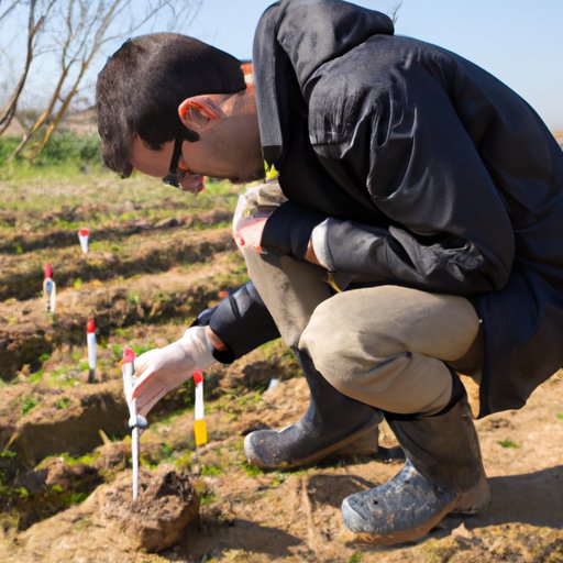 Investigating the Impact of Soil Quality on Bud Growth