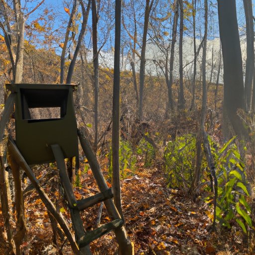 Exploring the Best Hunting Locations in New York