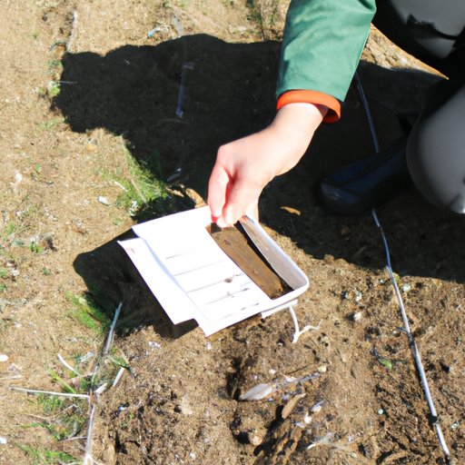 Exploring the Ideal Climate Conditions for Planting Grass Seeds