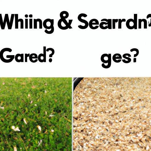 Looking at the Pros and Cons of Planting Grass Seed in Spring vs Fall