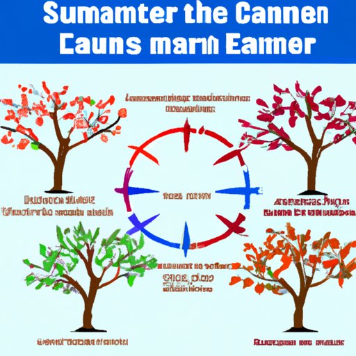 Understanding the Seasons and Knowing When to Prune