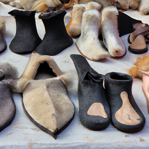 Overview of Wolf and Shepherd Shoes