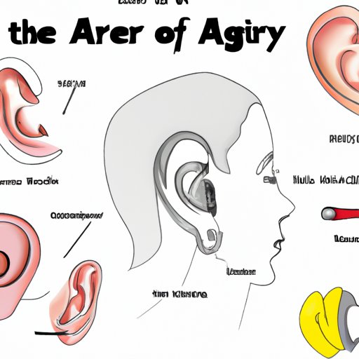 Exploring the Anatomy of the Ear and How Each Type of Piercing Affects It