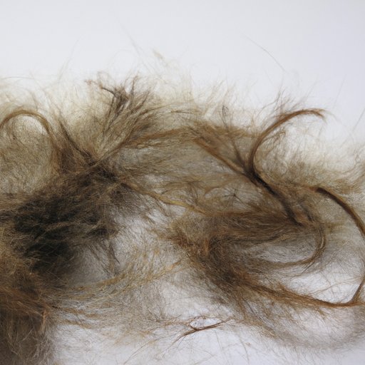 The Science Behind Hair Shedding: What You Need to Know