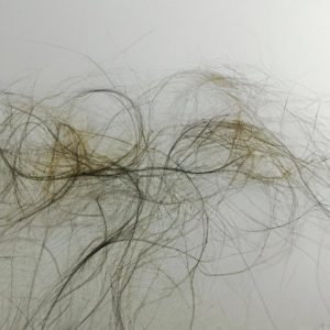 How Much Hair Do You Lose a Day: A Comprehensive Guide - The Knowledge Hub