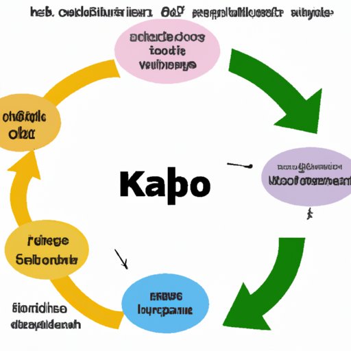 Exploring the Products of the Krebs Cycle: What You Need to Know